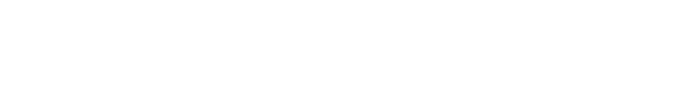 Hadron for Business